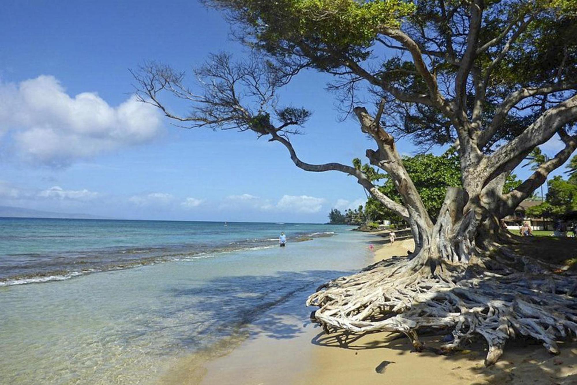 Polynesian Shores 118 Kahana Kültér fotó